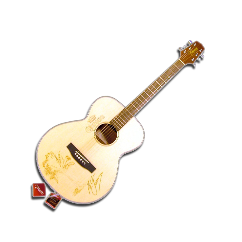 kenny chesney guitar