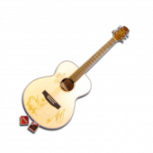 Kenny Chesney Takamine Guitar
